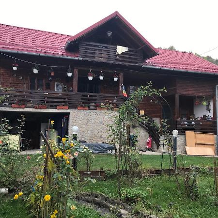 Cabana Trei Brazi Dambovita Hotel Bezdead Exterior foto