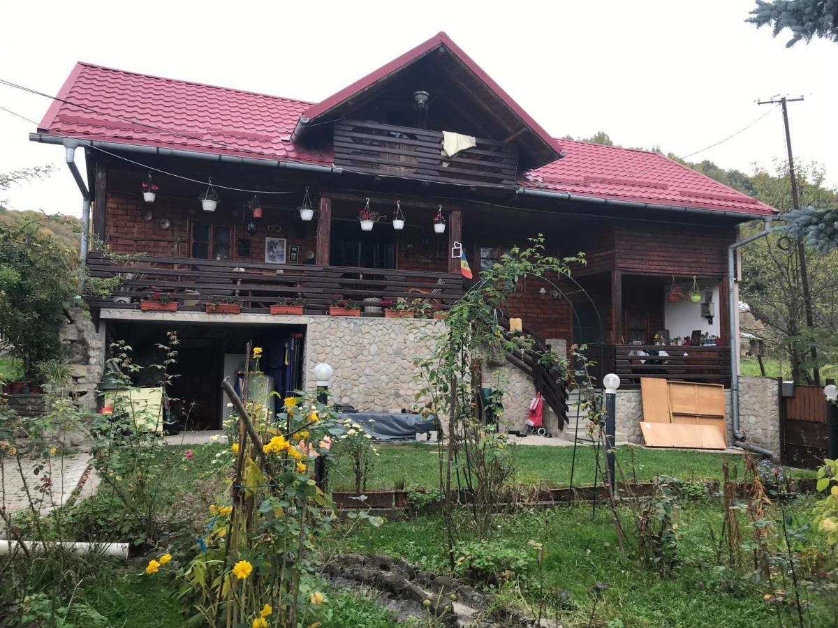 Cabana Trei Brazi Dambovita Hotel Bezdead Exterior foto