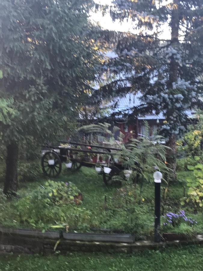 Cabana Trei Brazi Dambovita Hotel Bezdead Exterior foto